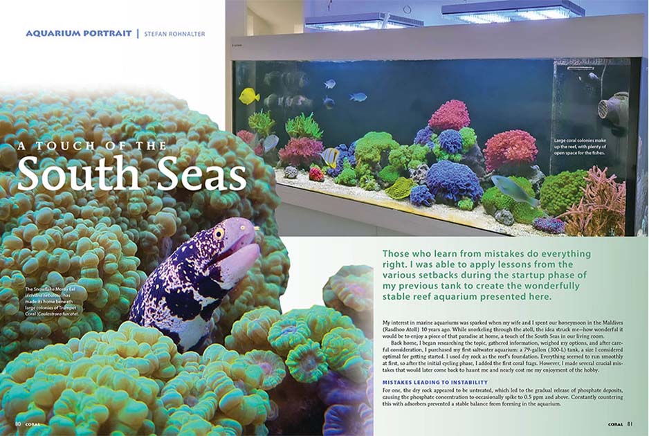 CORAL Dergisi Eylül 2025 / Akvaryum Portresi