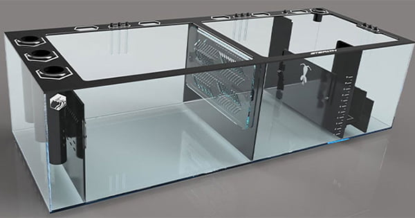 Akvaryum ve Karter Seçimi Örnekleri