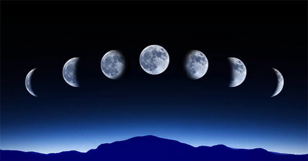 Akvaryumlarda Ay Işığı Kullanımı Ve Etkileri