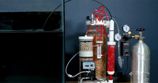 Kalsiyum Reaktörü Nedir? Gereklimidir?