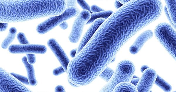 Azot Döngüsünü Başlatmak İçin 2 Harika Yol