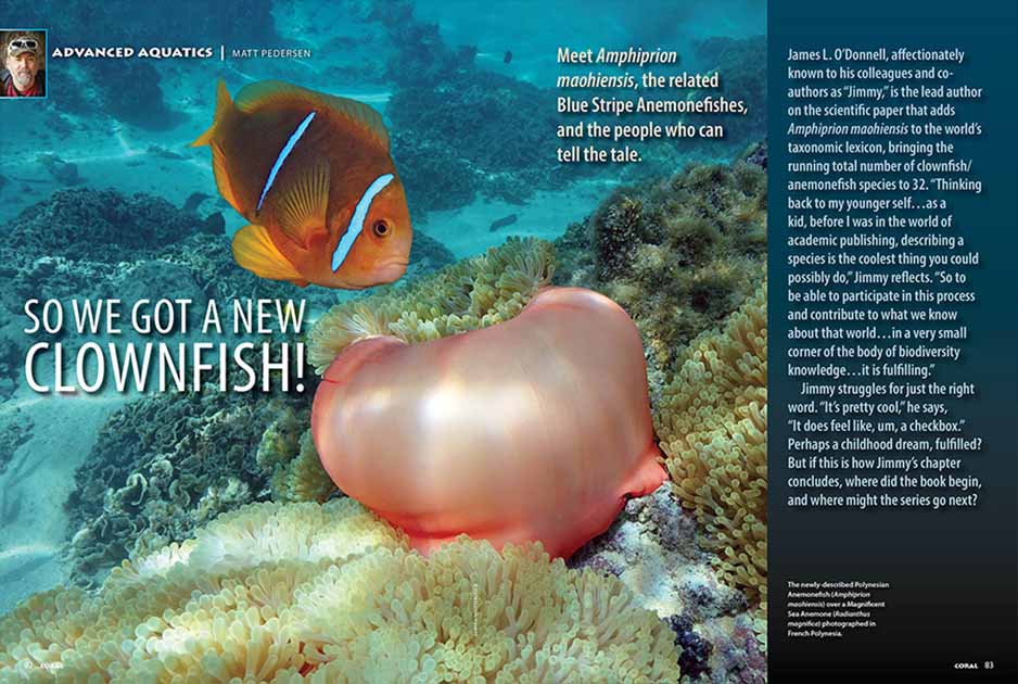 Karşılıklı İlişkiler / CORAL Dergisi Kasım/Aralık 2025 - So We Got a New Clownfish