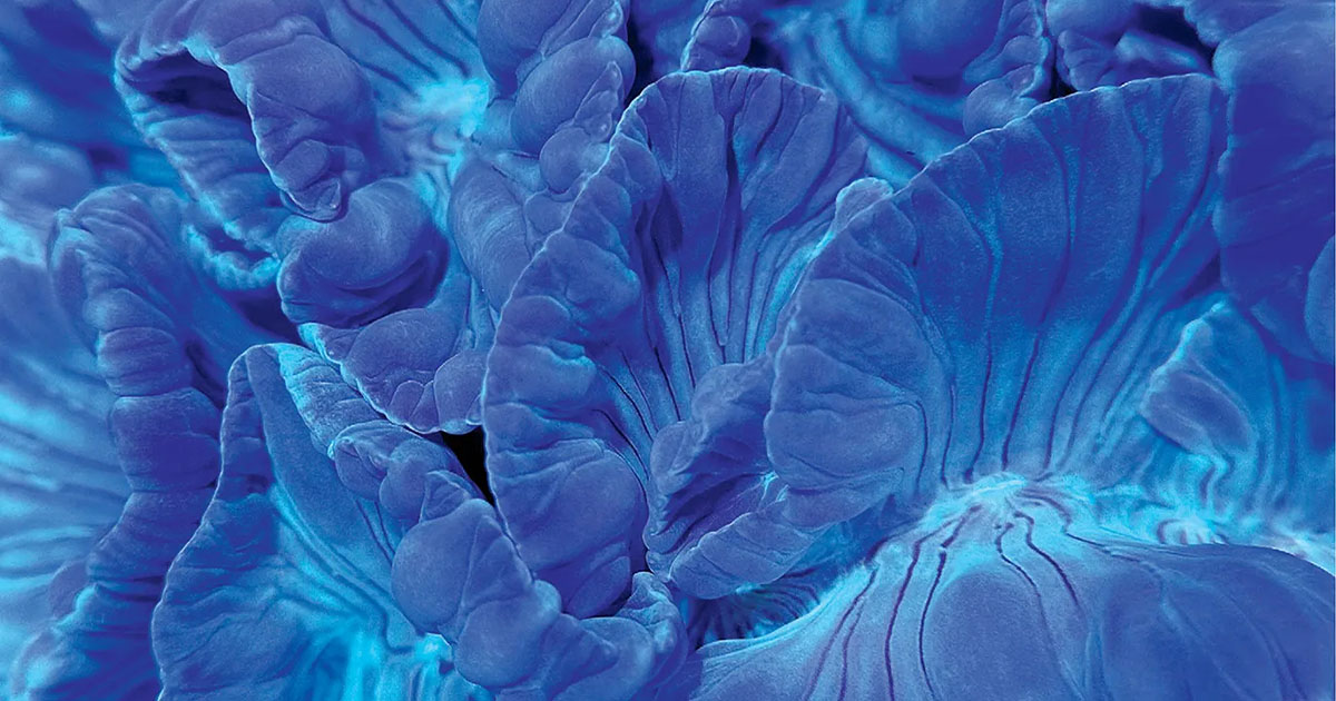 Coral Dergisi Mart/Nisan 2025 K&P AQUATIC