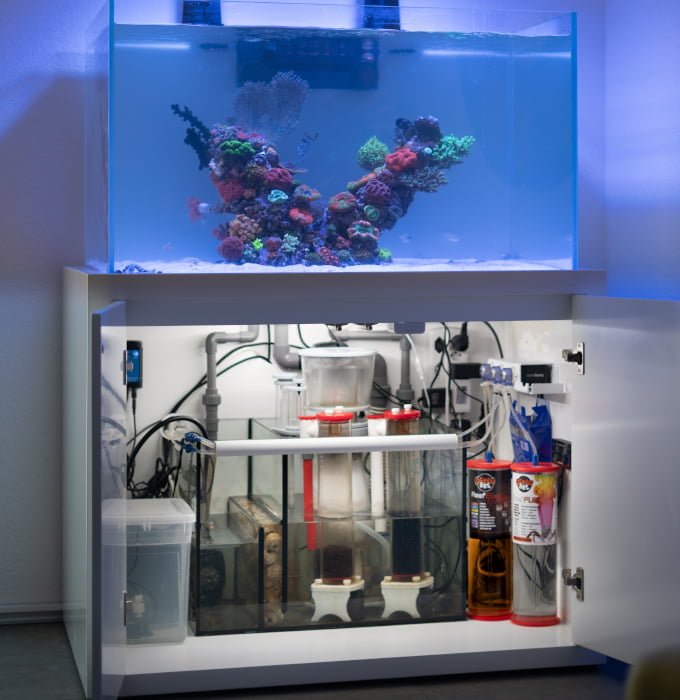 David Notter'ın Ocean Art Ürünleriyle Sürdürdüğü Akvaryumu