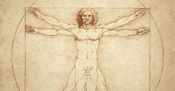 Akvaryum İçin Kaya Tasarımı Nasıl Yapılır ?