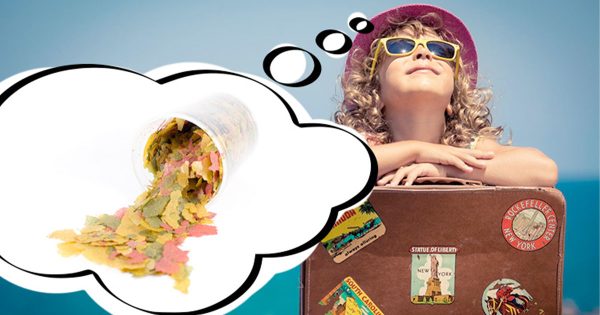 Akvaryum Tatile Nasıl Hazırlanır?