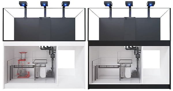 Akvaryum ve Karter Seçimi Nasıl Yapılır?