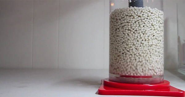 Tuzlu Su Akvaryumunda Biopellet Kullanımı