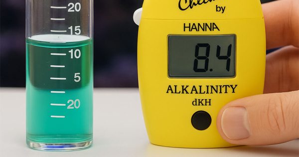 Tuzlu Su Akvaryumlarında Bikarbonat ve Alkalinite Nedir?