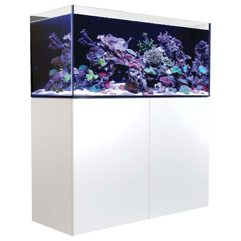 atolye-resif-custom-aquarium-design.jpg