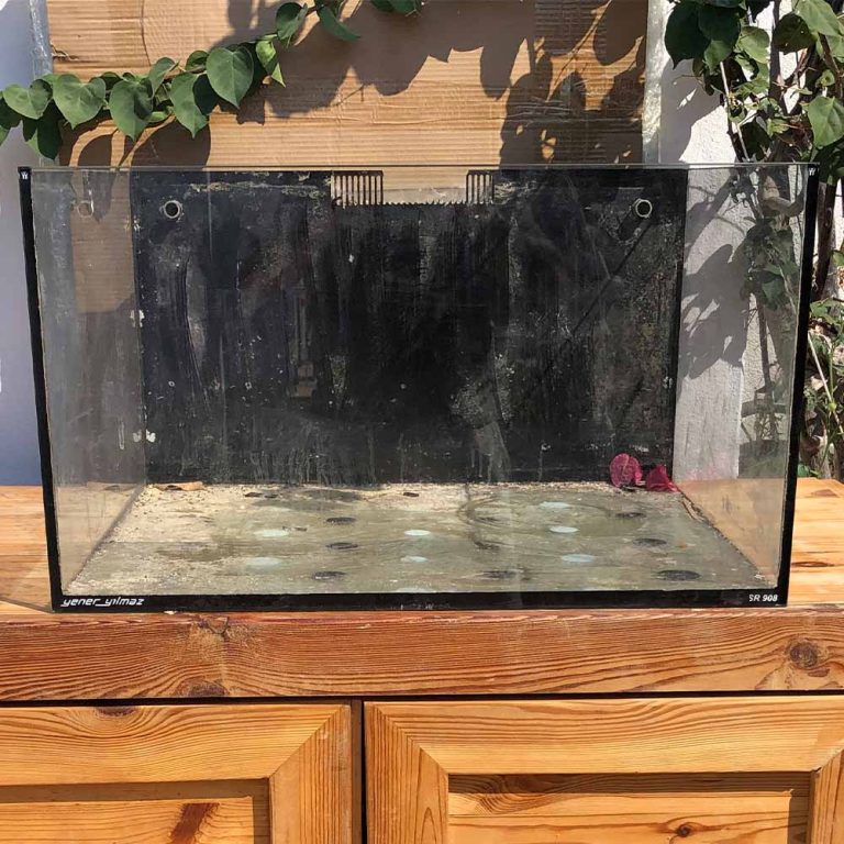 Atölye Resif by Yener Yılmaz Özel Üretim Akvaryum