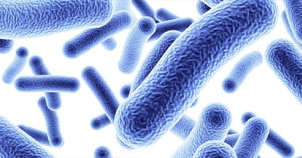 Azot Döngüsünü Başlatmak İçin 2 Harika Yol