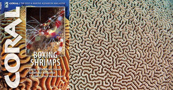 Coral Dergisi Eylül/Ekim 2022