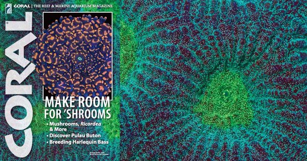 Coral Dergisi Mart/Nisan 2025