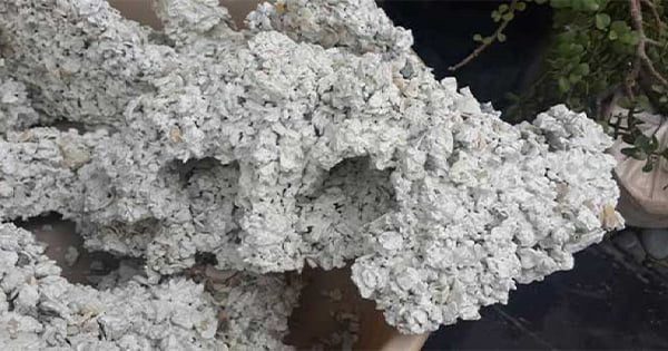 Evde Akvaryum Kayası Nasıl Yapılır Neler Gerekir?