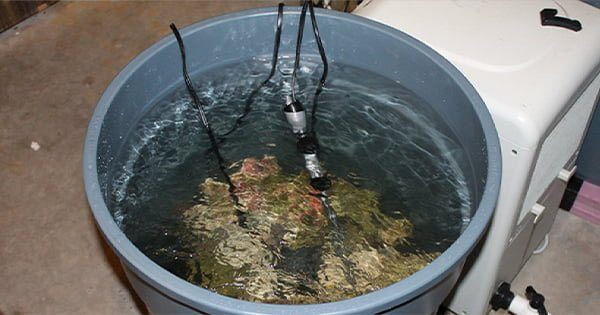 Kaya Kürleme İşlemi Nedir? Nasıl Yapılır?