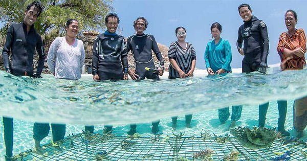 Mercan Evlad Edinmek İster Misiniz?