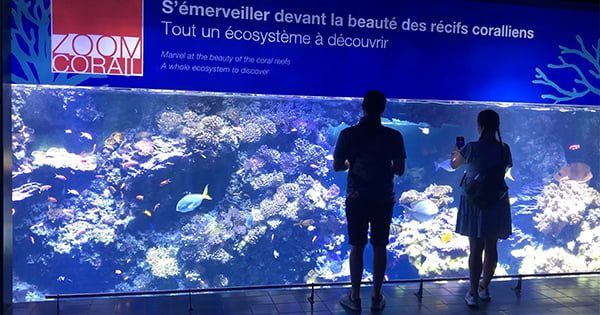 Monaco Oşinografi Müzesi ve Şehir Akvaryumu
