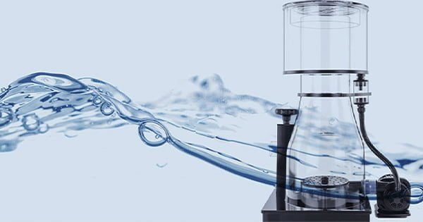 Protein Süzücü Nasıl Seçilir? Nelere Dikkat Edilmelidir?