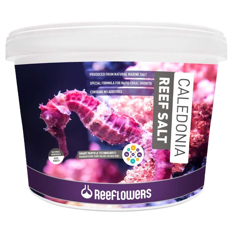 reeflowers-caledonia-reef-salt-6.5kg.jpg