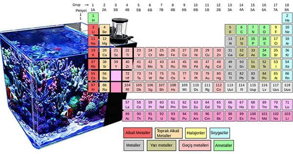 Eser Elementler Nelerdir? Nasıl Takip Edilir?