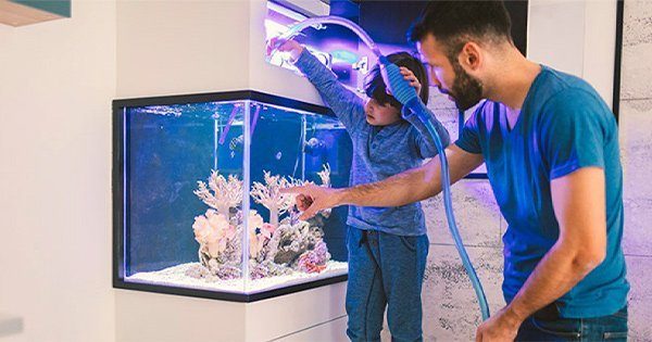 Tuzlu Su Akvaryumu Bakımı Nasıl Yapılır?