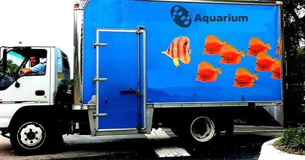 Tuzlu Su Akvaryumu Taşımak Bölüm 2: Taşınma