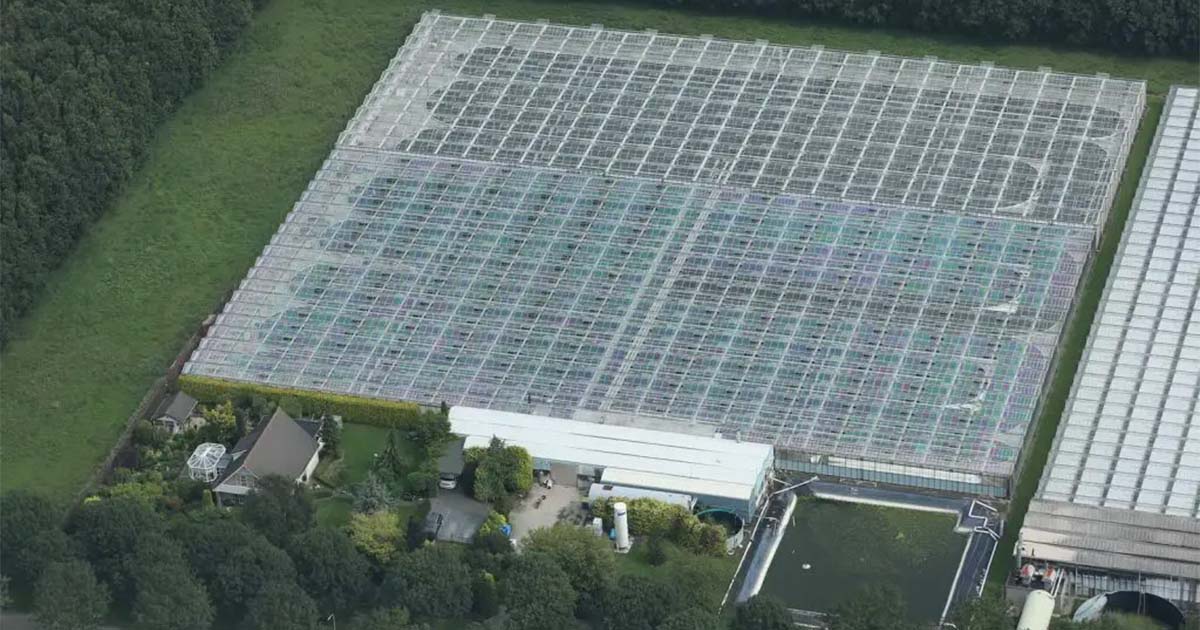 AlgaSpring Fitoplankton Üretim Tesisi