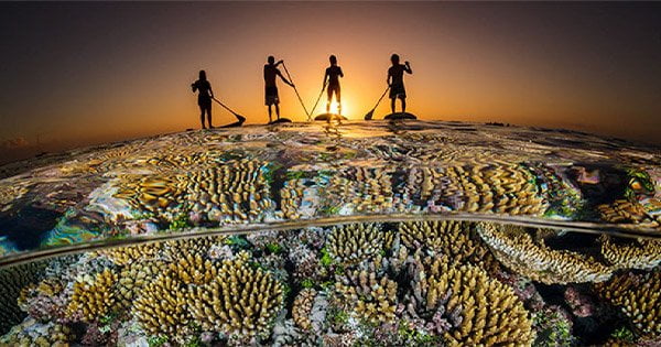 Küresel Mercan Resifleri Fonu (GFCR)