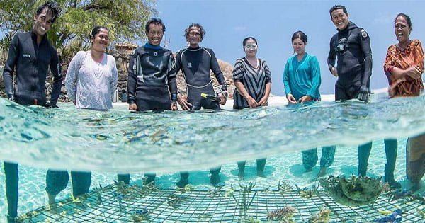 Mercan Evlad Edinmek İster Misiniz?