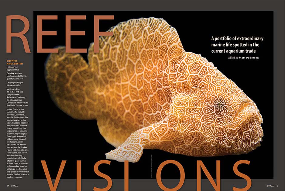 CORAL Dergisi Eylül 2025 / Resif Vizyonu