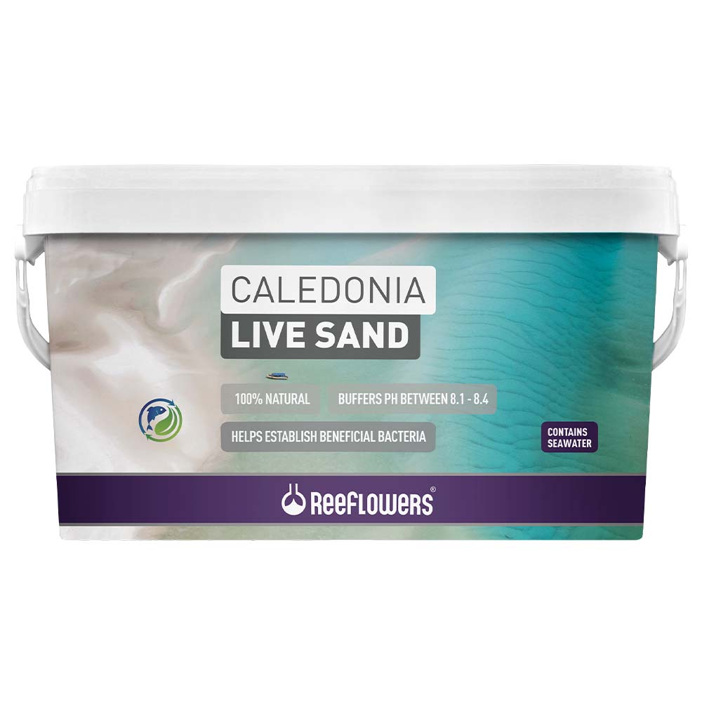 ReeFlowers Caledonia Live Sand